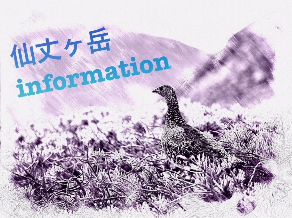 No,144 Mountain Clinbing in 仙丈ヶ岳 　 「information」