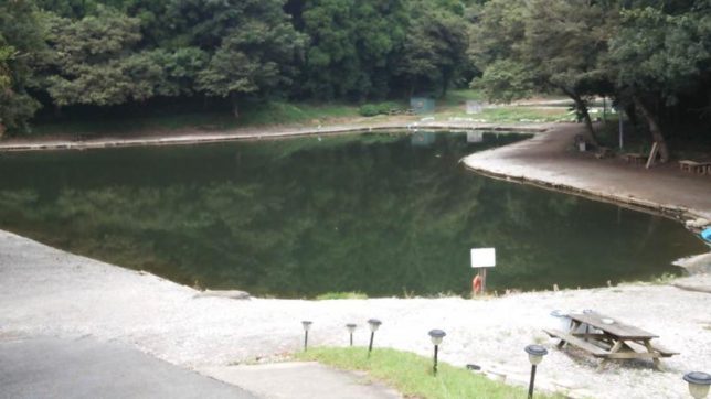 00000000000000156771_0000000395_2