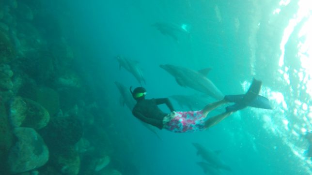 御蔵島（201681〜2）_5859