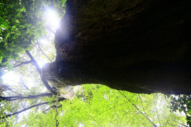 御蔵島（201681〜2）_6816