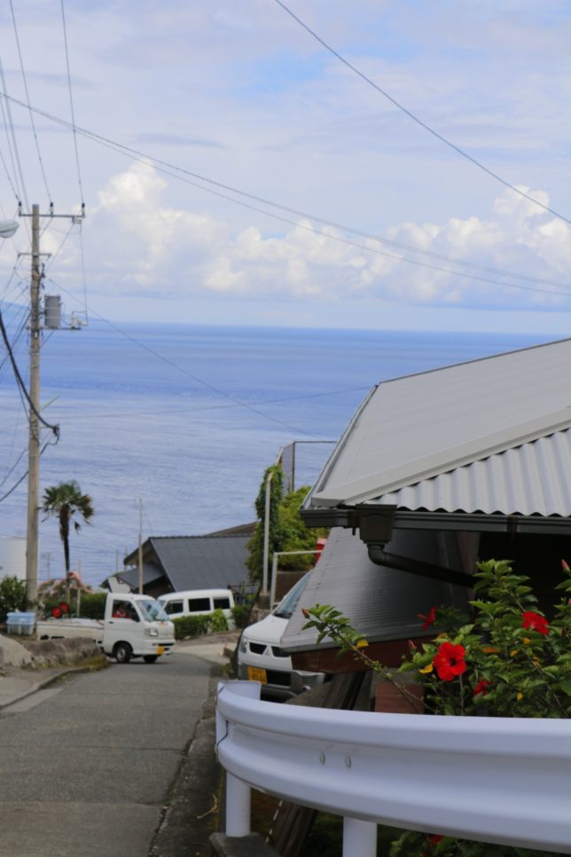 御蔵島（201681〜2）_6865