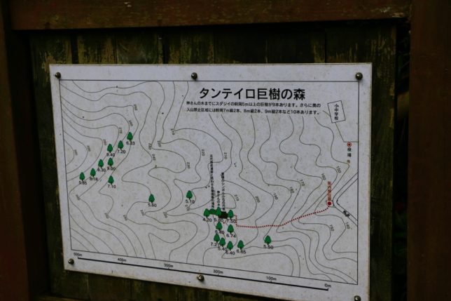 御蔵島（201681〜2）_6872