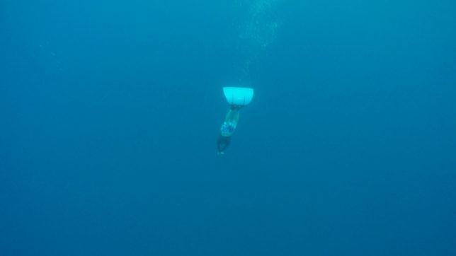 御蔵島（201681〜2）_8494