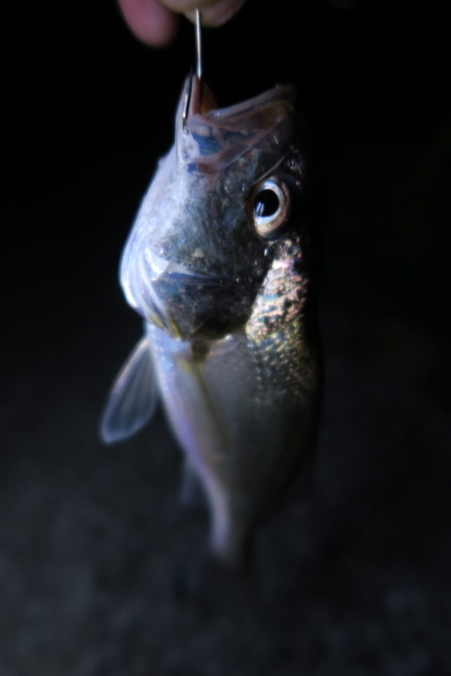 0110898e0a6c9270bea4f0b009fb5ee80b4e8c1533